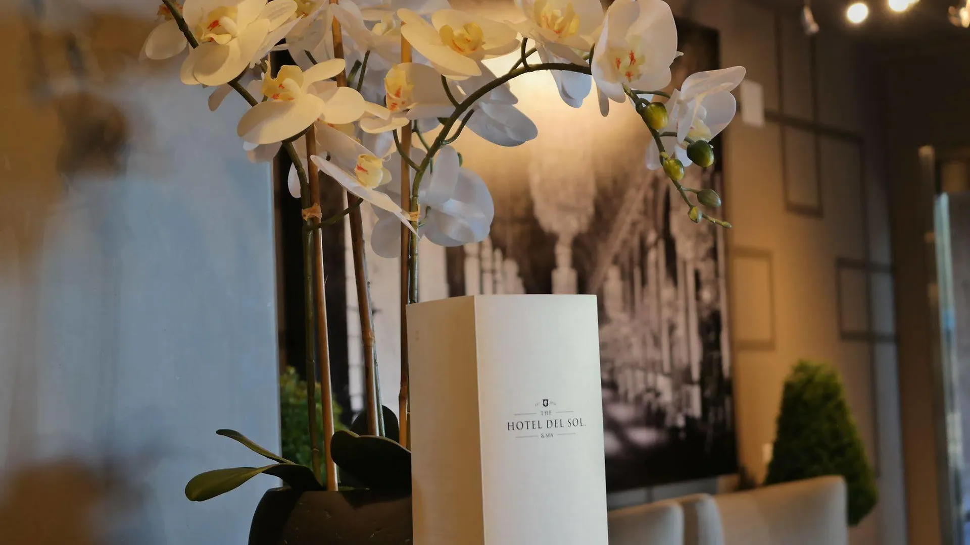 **  Hotel Del Sol, Boutique Phoenix Airport USA